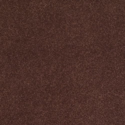Cashmere IV