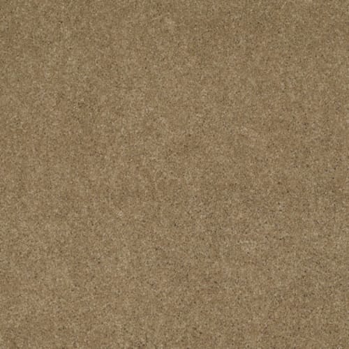 Cashmere IV