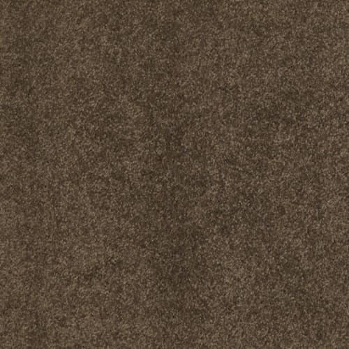 Cashmere IV