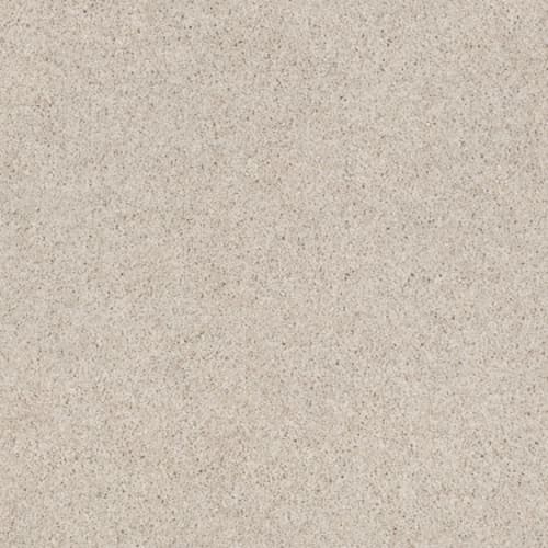 CASHMERE CLASSIC I