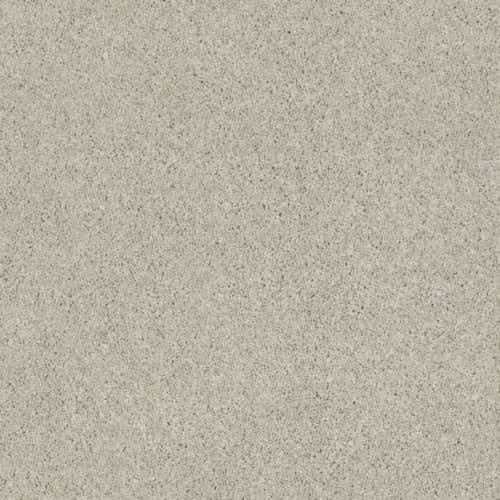 CASHMERE CLASSIC I