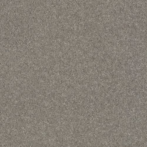 CASHMERE CLASSIC I