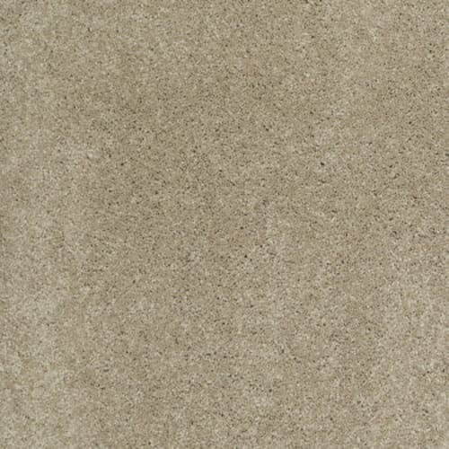 CASHMERE CLASSIC I