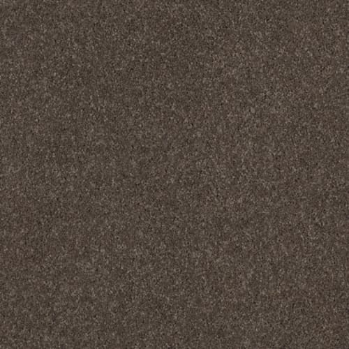 CASHMERE CLASSIC I