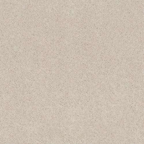 CASHMERE CLASSIC II