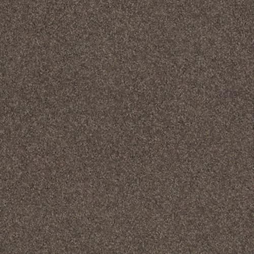 CASHMERE CLASSIC II