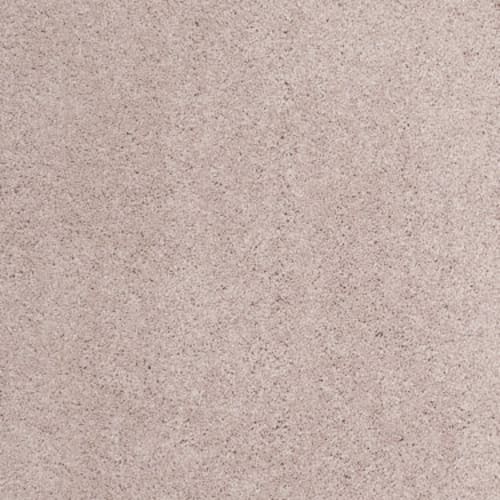 CASHMERE CLASSIC II