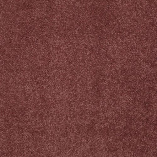 CASHMERE CLASSIC II