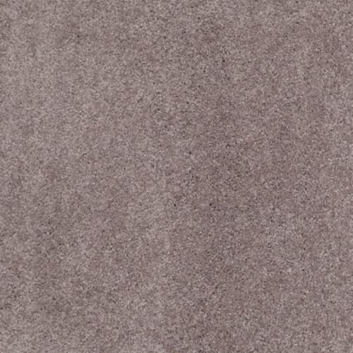 CASHMERE CLASSIC II