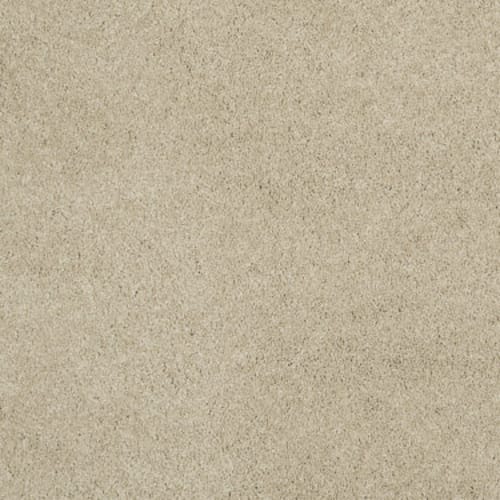 CASHMERE CLASSIC III