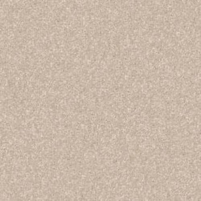 CASHMERE CLASSIC IV