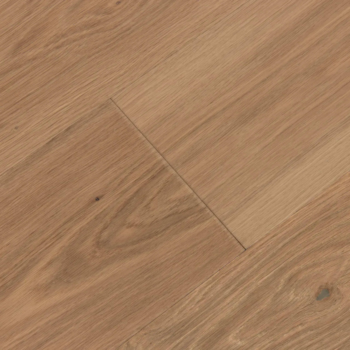 Barrel in Champagne Sea Hardwood