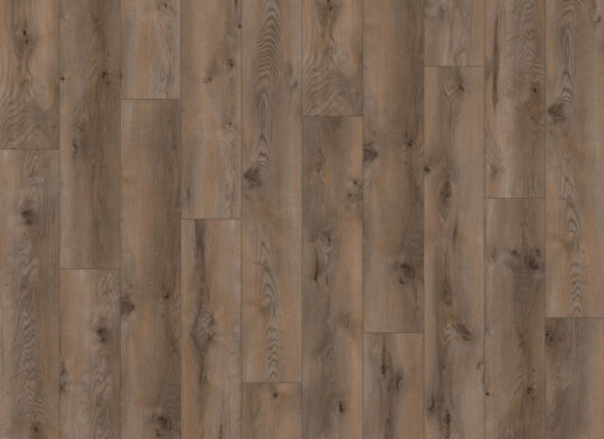 Ceramin - Sono Eclipse in Coffee