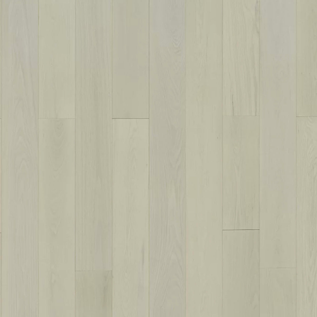 Serenity in Cozy Oak Hardwood