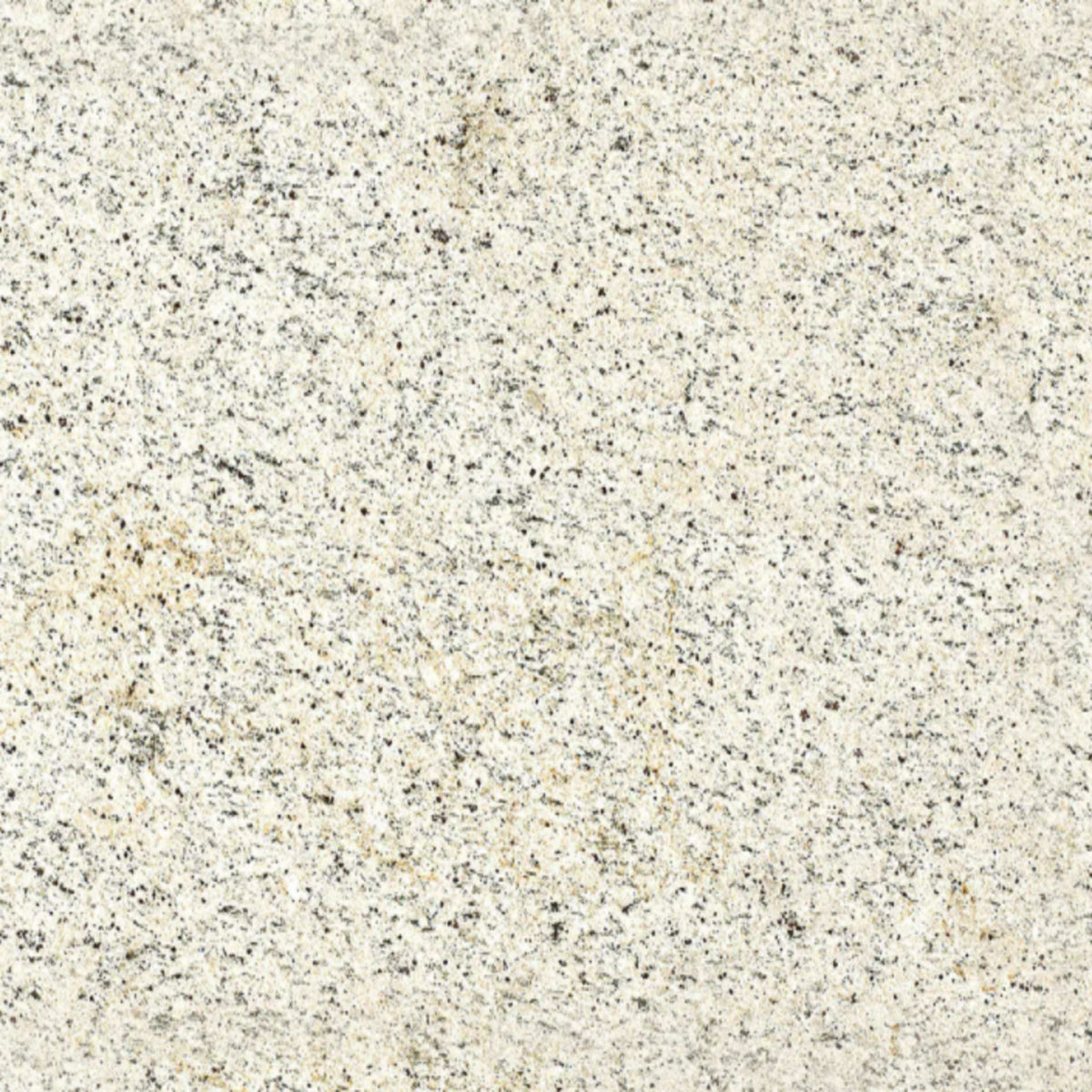 Sensa in Crema Pearl Natural Stone