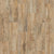 OLYMPIA PLANK