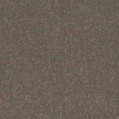Carpet Tile | Engineered Floors - Pentz