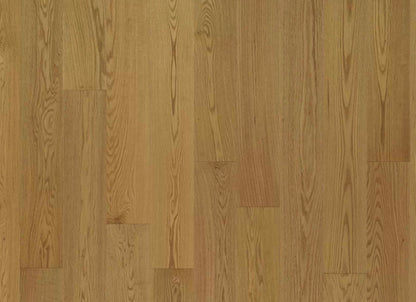 Serenity in Dream Oak