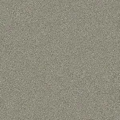 MOMENTUM I