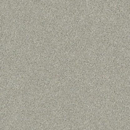 MOMENTUM II