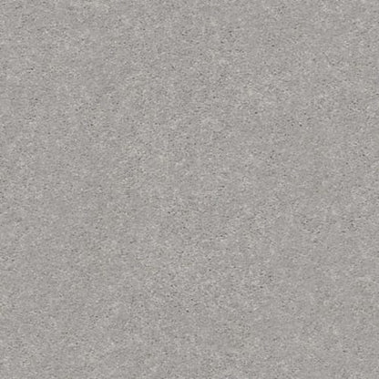 MOMENTUM II