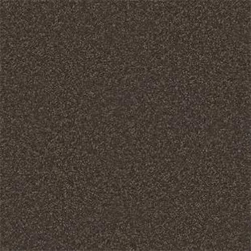 Shingle Creek IV 12'