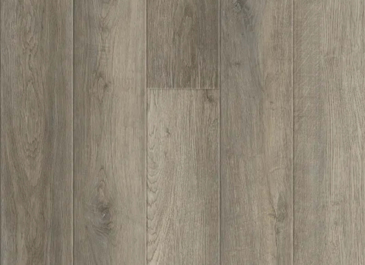 Essence Plank in Dakota Hills