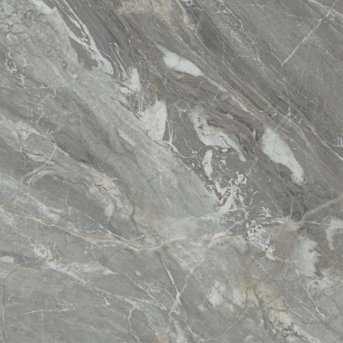 Famed in Glamour 24x24 Tile