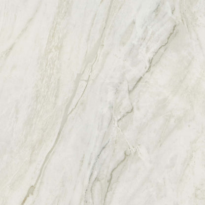Famed in Iconic 24x24 Tile