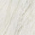Famed in Iconic 24x24 Tile
