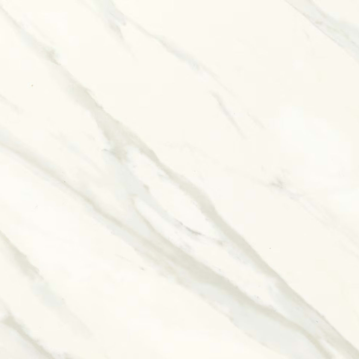 Florentine in Carrara 12x24 Tile
