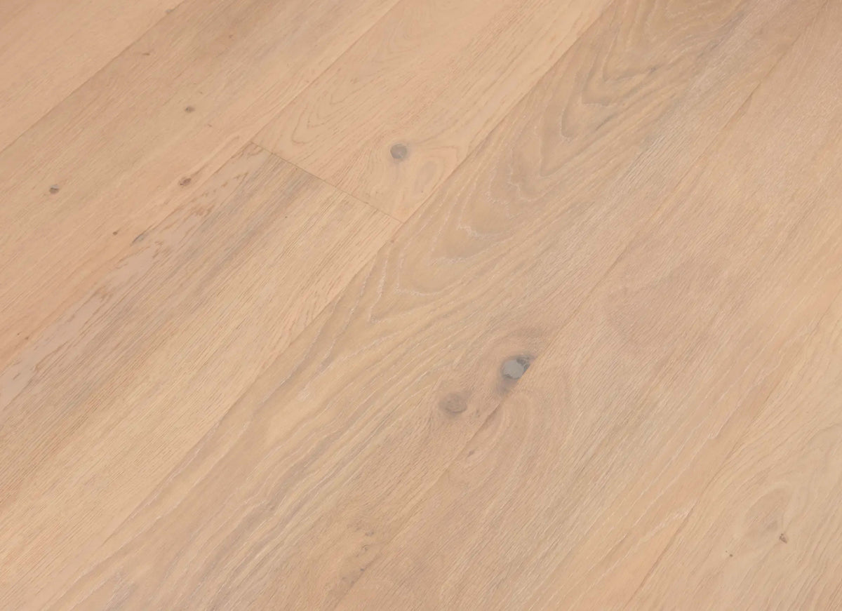Mavericks in Half Moon Oak