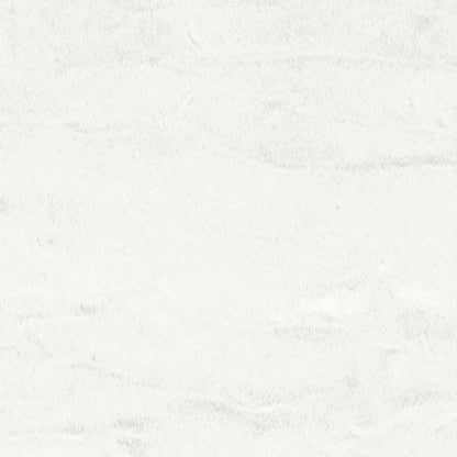Solid Surface Collection in Arctic Dune Solid Surface