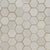 Sande in Ivory 2x2 Hex Tile