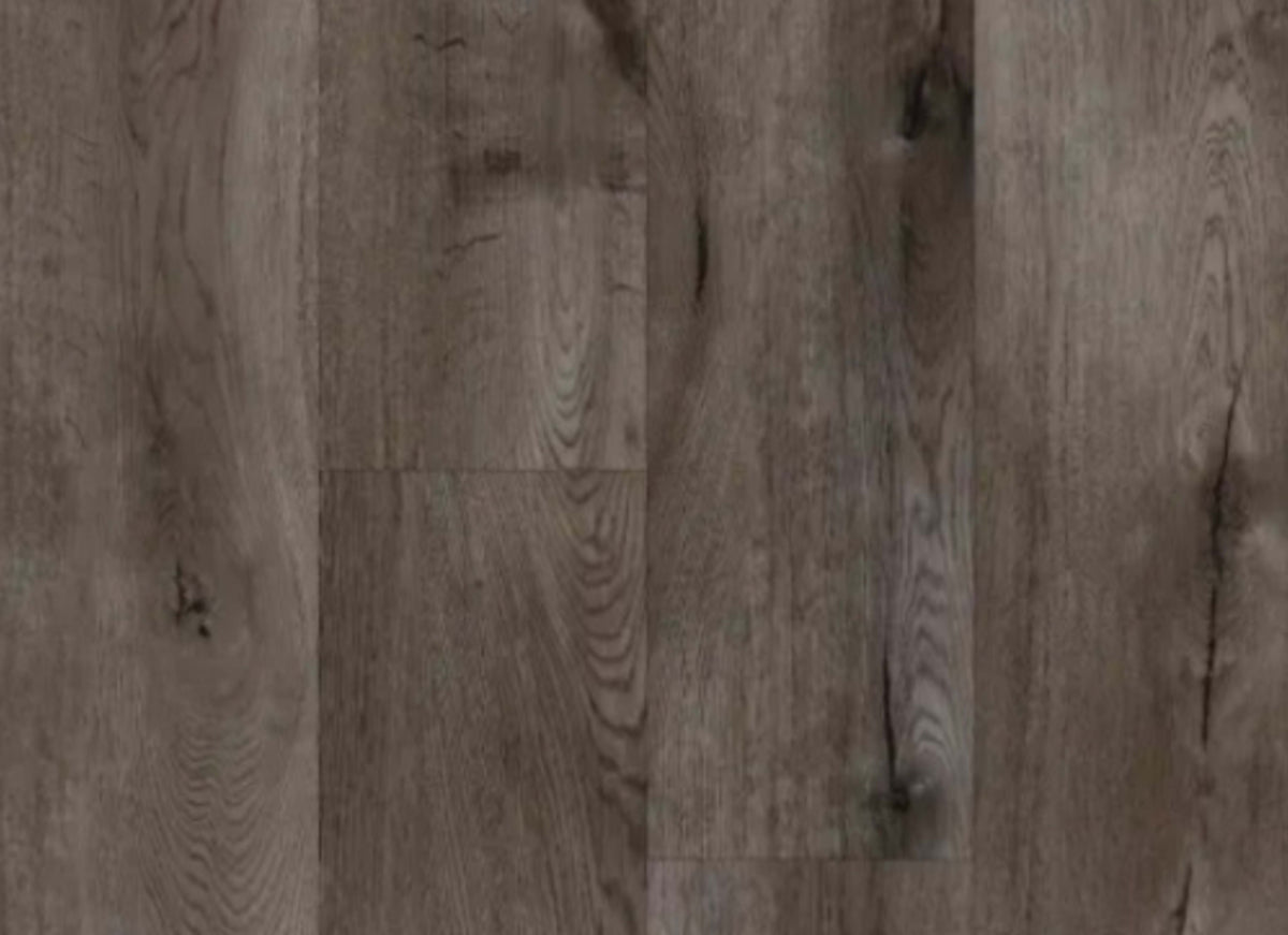 Moto in Kensington