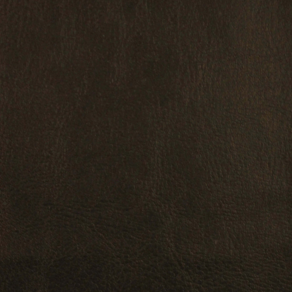 Leather Essence in Midnight Carpet
