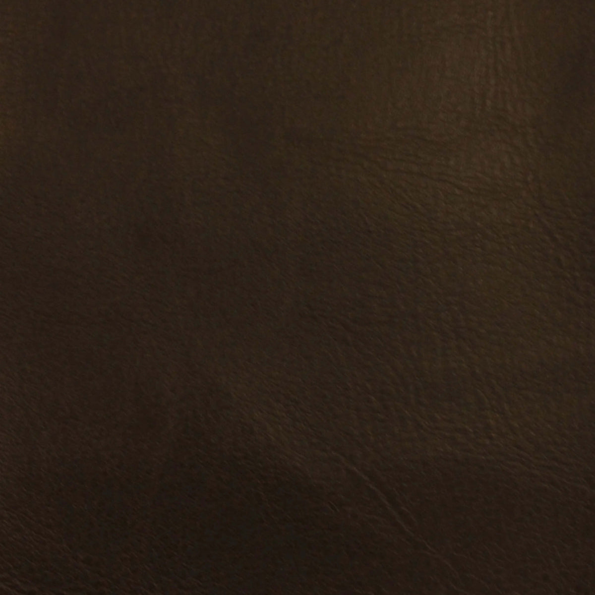 Leather Essence