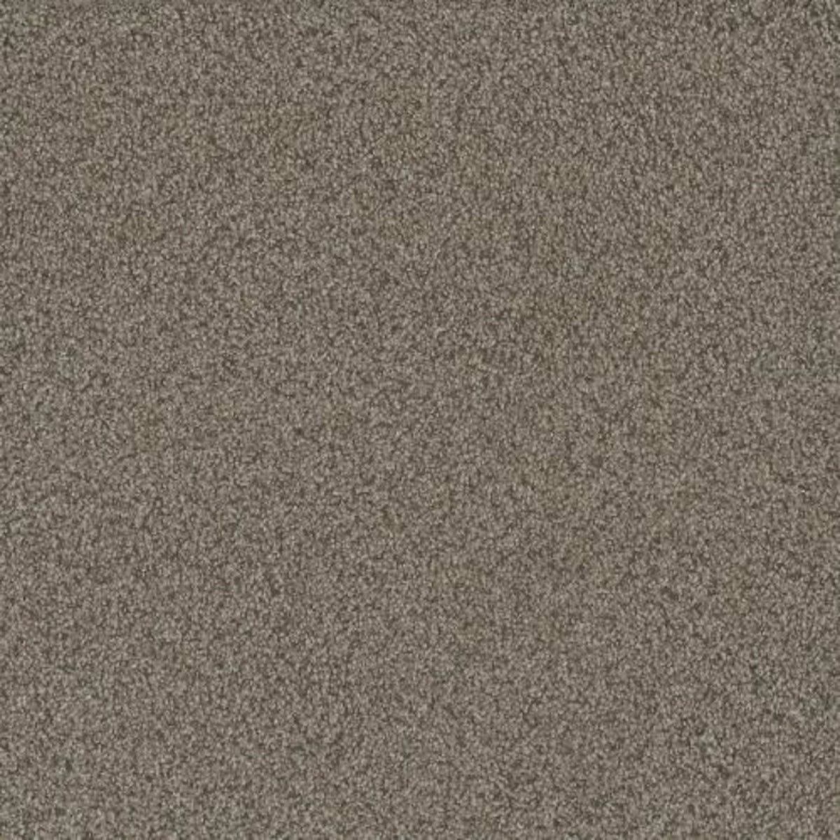 NO LIMITS II in Madura Sands Carpet