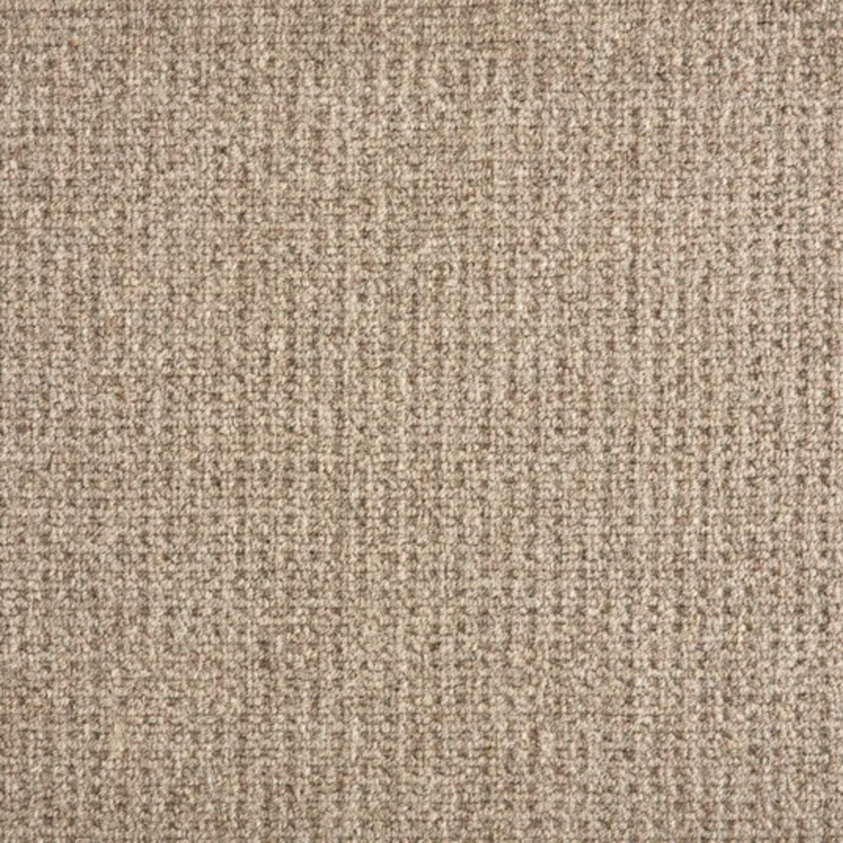 Martina in Earth Carpet