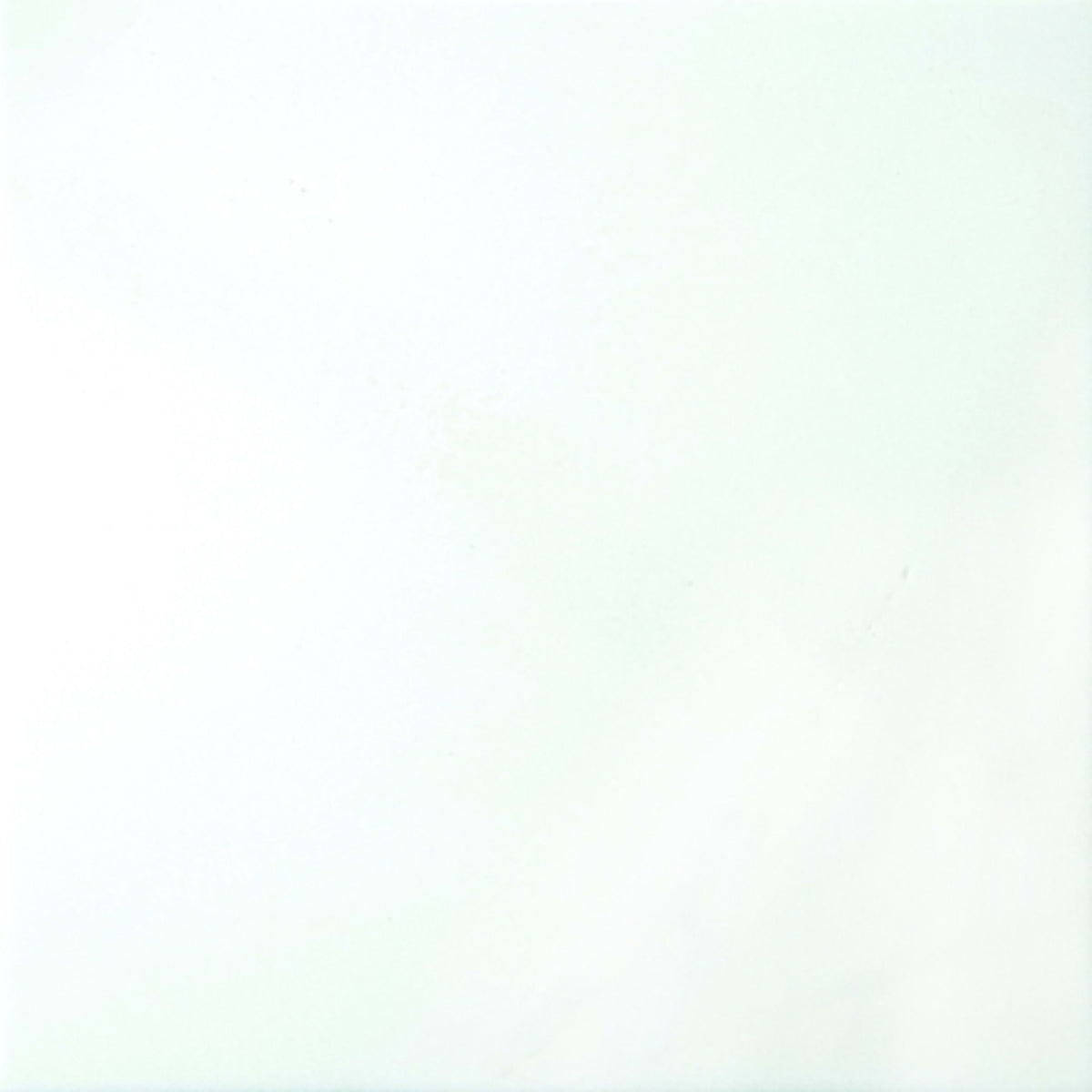 Marble in Thassos 12" X 12" Natural Stone
