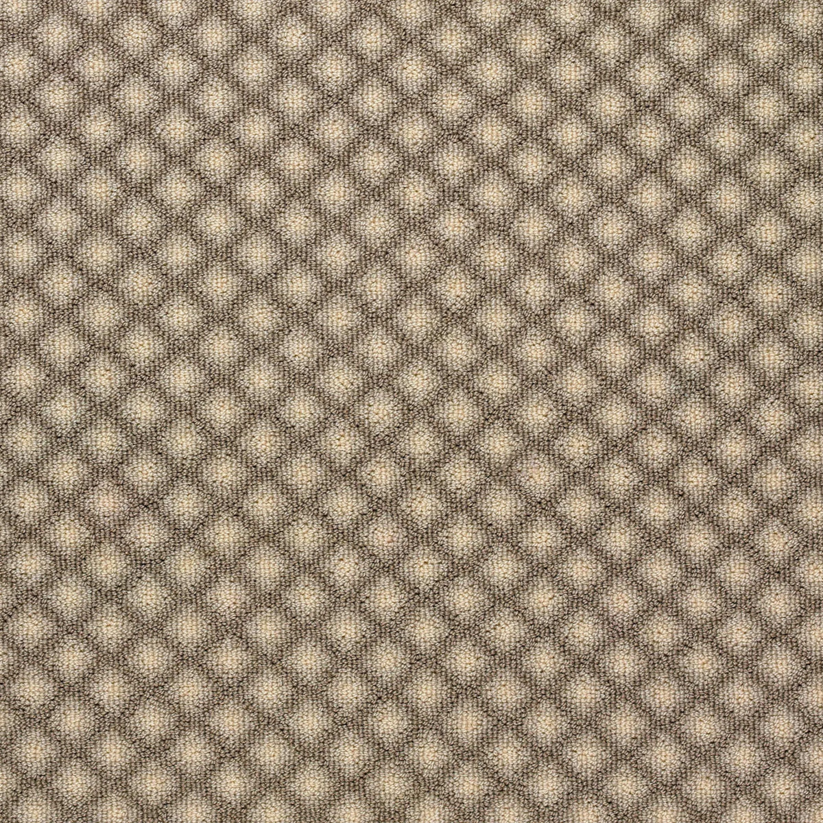 Matisse in Quicksilver Carpet