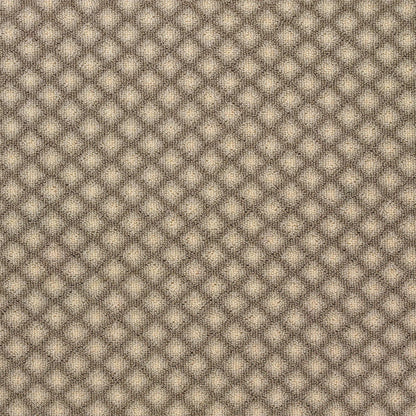 Matisse in Quicksilver Carpet