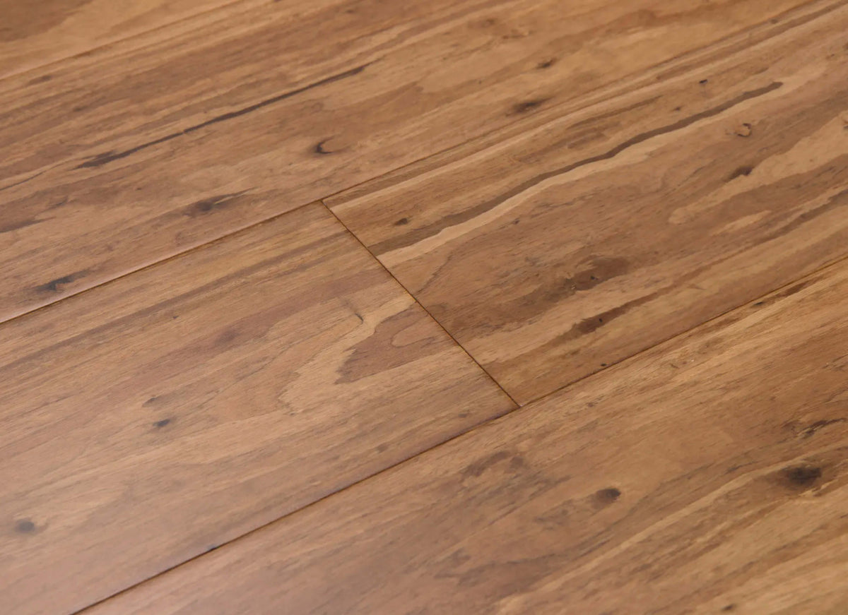 Eucalyptus in Mocha