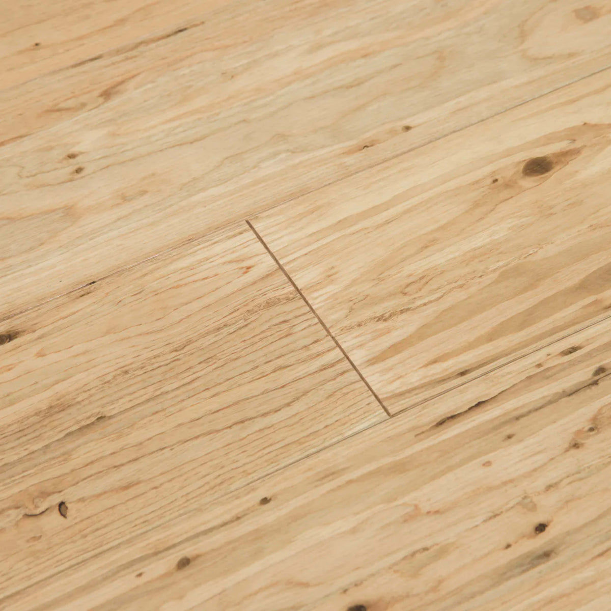 Eucalyptus in Natural Hardwood