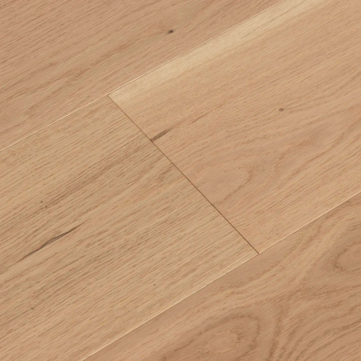 Cellar in New Vine Hardwood