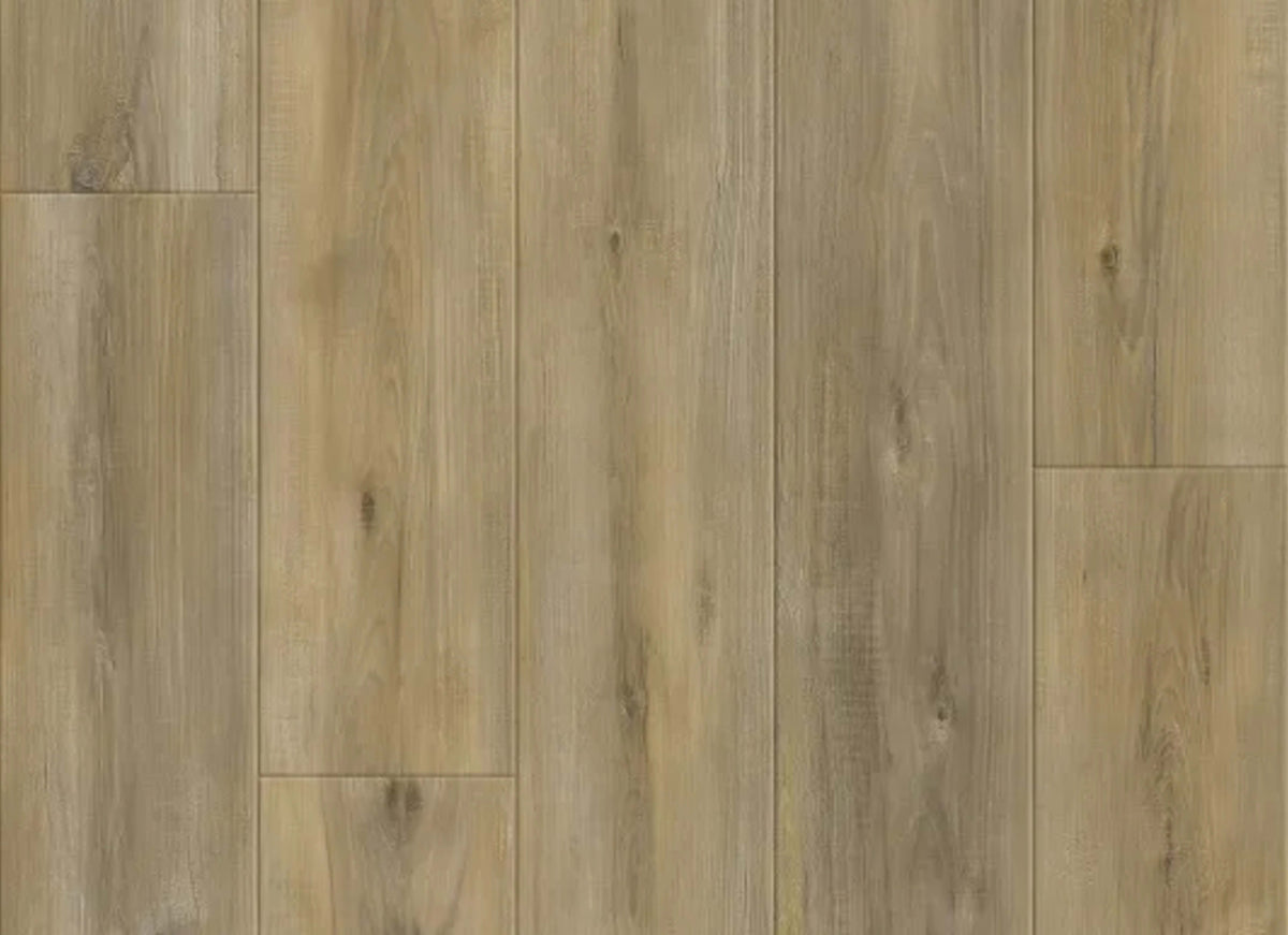 Panoramic in Amarillo Hickory