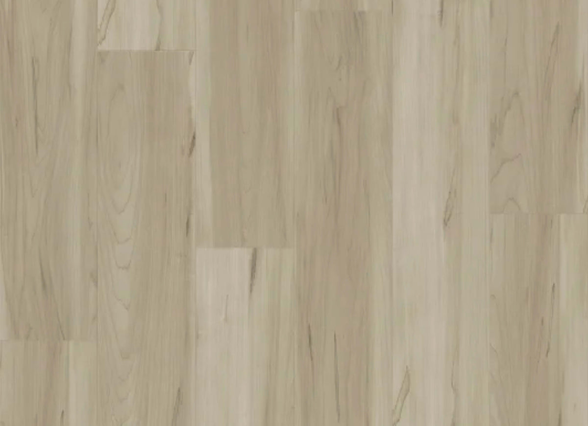 Panoramic in Sugar Maple