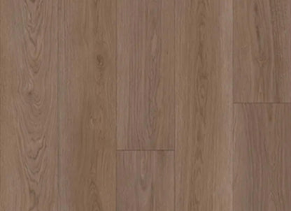 Panoramic in Tawny Oak