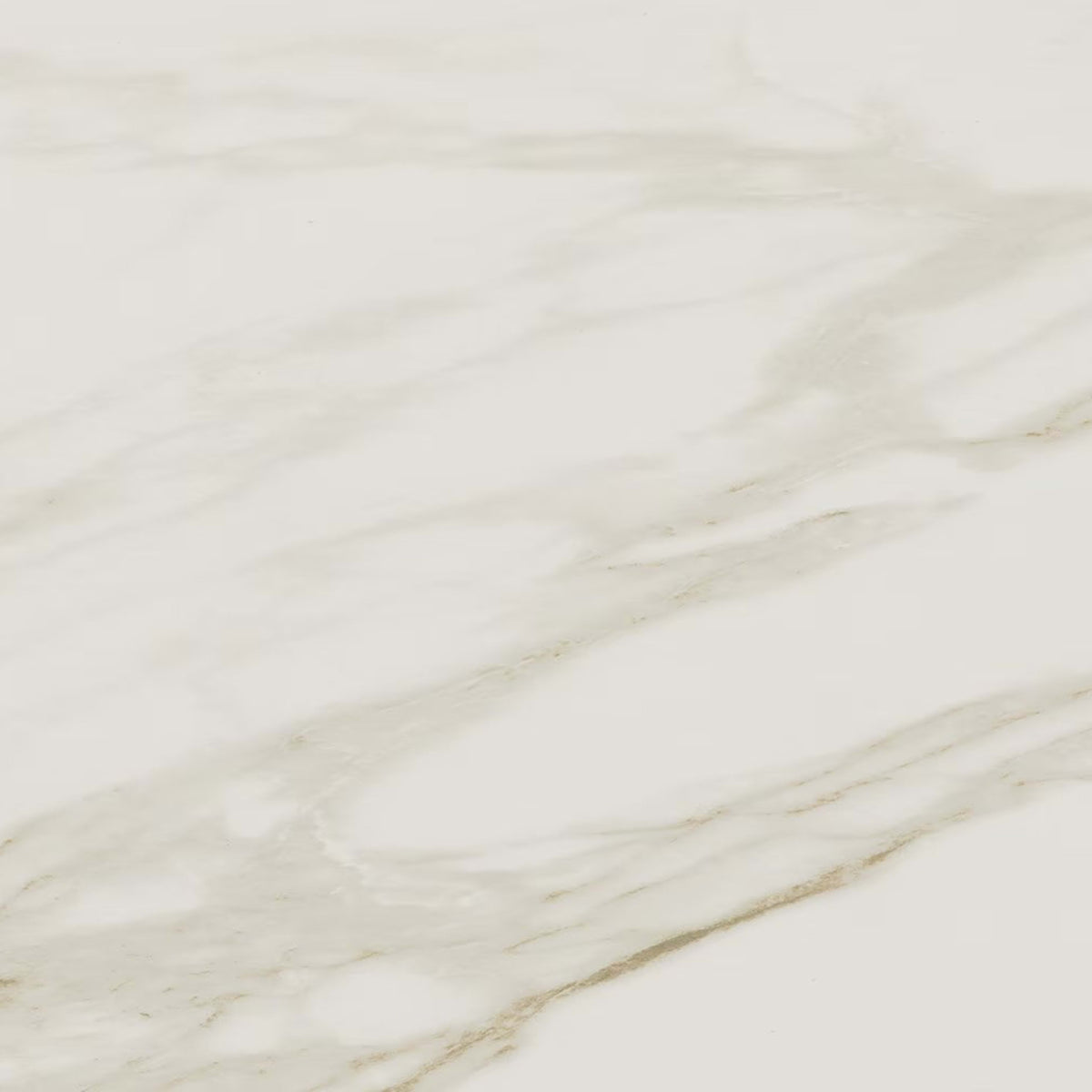 Perpetuo in Brilliant White 12x24 Tile