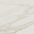 Perpetuo in Brilliant White 12x24 Tile